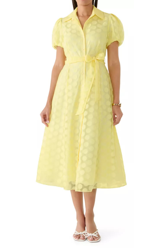 Puff Sleeve Polka Dress