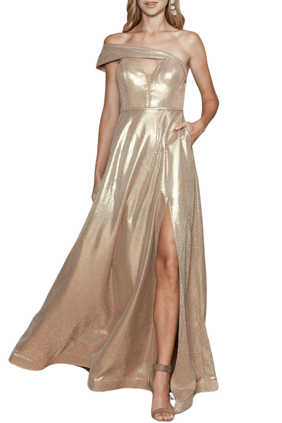 One Shoulder Shimmering Gown