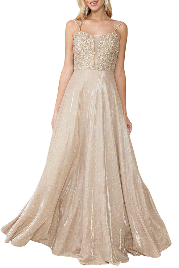 Lace Bodice Gown